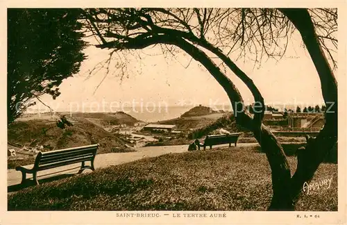 AK / Ansichtskarte Saint Brieuc_Cotes d_Armor Le Tertre Aube Saint Brieuc_Cotes d