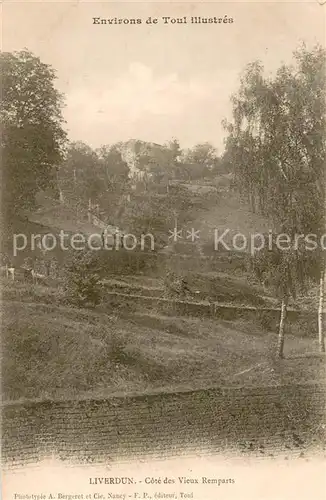 AK / Ansichtskarte Liverdun_54 Cote des vieux remparts 