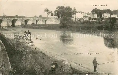 AK / Ansichtskarte Toul_54 Baignade des chevaux grand pont sur la Moselle 