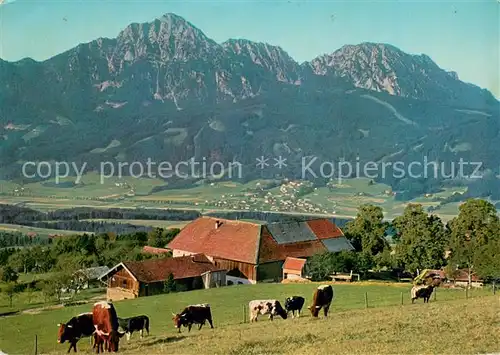 AK / Ansichtskarte Hoegl_Piding Strobl Alm am Hoegel mit Hochstaufen Zwiesel und Aufham Hoegl Piding