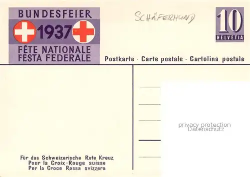 AK / Ansichtskarte Schaeferhunde Bundesfeier 1937   