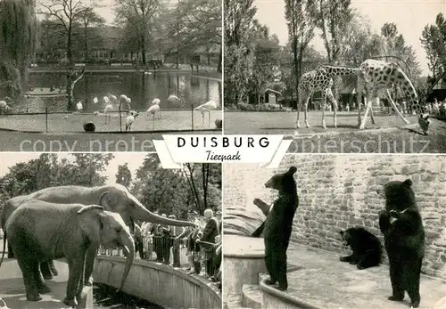 AK / Ansichtskarte Zoo Duisburg Tierpark 