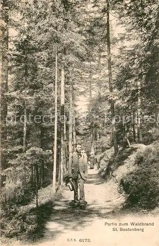 AK / Ansichtskarte St_Beatenberg_BE Partie zum Waldbrand 