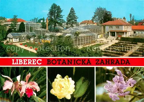 AK / Ansichtskarte Liberec_Reichenberg Botanicka zahrada Cattleya hybr Victoria Regis Vanda Coerules 