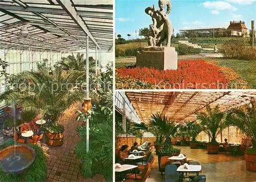AK / Ansichtskarte Zielona_Gora_Gruenberg Palmiarnia w Parku Winnym i wnetrza kawiarni Palmiarnia 
