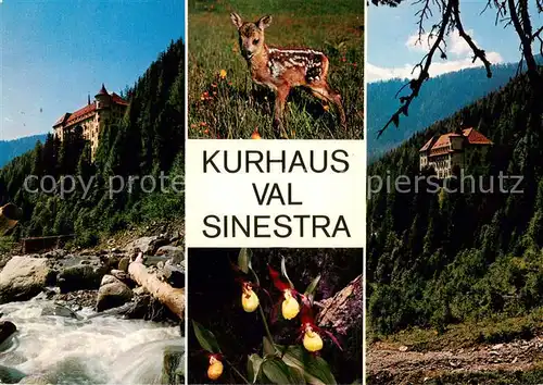AK / Ansichtskarte Val_Sinestra_Zuort_GR Kurhaus Val Sinestra Rehkitz Panorama 