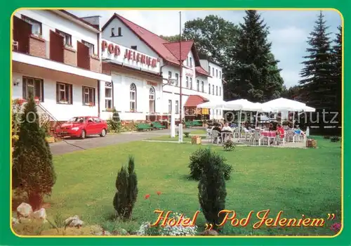 AK / Ansichtskarte Swieradow_Zdroj_Bad_Flinsberg_PL Hotel Pod Jeleniem 