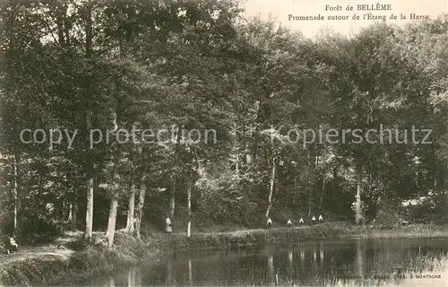 AK / Ansichtskarte Belleme_61 Foret   Promenade autour de l Etang de la Herse 