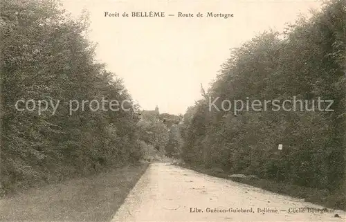 AK / Ansichtskarte Belleme_61 Foret   Route de Mortagne 