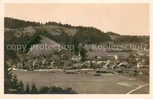 AK / Ansichtskarte Signau Panorama Signau