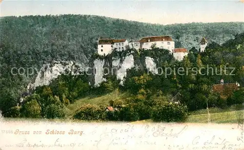 AK / Ansichtskarte Burg_BE_Grindelwald Schloss Burg Burg_BE_Grindelwald