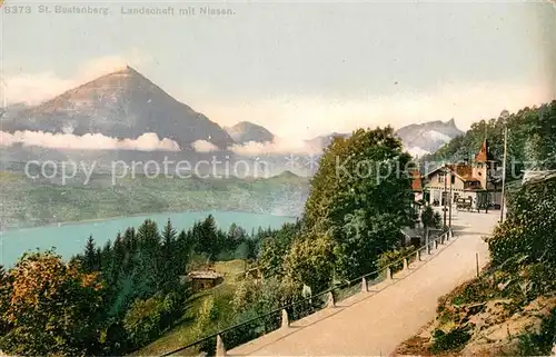 AK / Ansichtskarte St_Beatenberg_BE Landschaftspanorama mit Niesen 