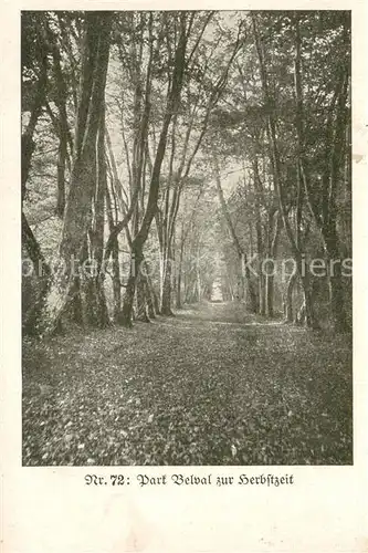 AK / Ansichtskarte Belval_08_Ardennes Park Belval Feldpostkarte 