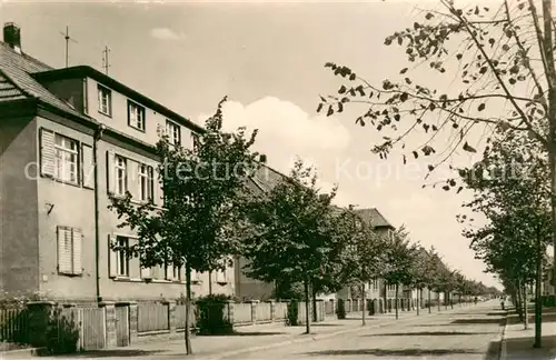 AK / Ansichtskarte Haldensleben Karl Marx Strasse Haldensleben