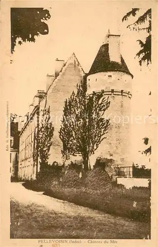 AK / Ansichtskarte Pellevoisin_36_Indre Chateau du Mee 