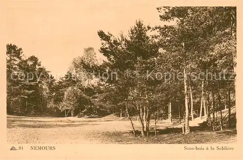 AK / Ansichtskarte Nemours_77 Sous bois a la Sabliere 
