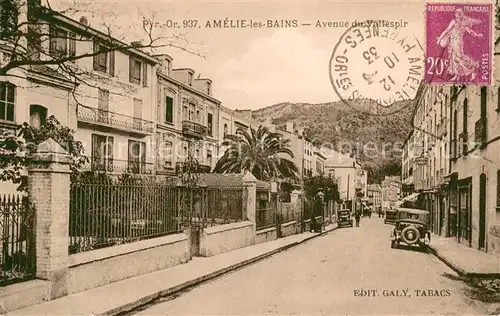 AK / Ansichtskarte Amelie les Bains Palalda_66 Avenue du Vallespir 