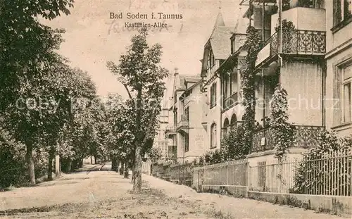 AK / Ansichtskarte Bad_Soden__Taunus Kastanien Allee 