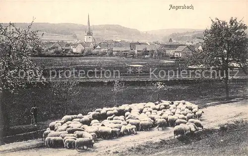 AK / Ansichtskarte Angersbach Panorama Schafherde Angersbach