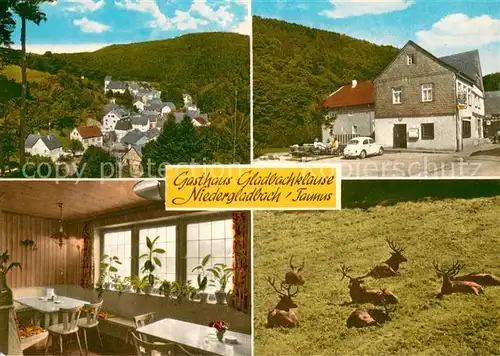 AK / Ansichtskarte Niedergladbach Panorama Gasthaus Gladbachklause Gaststube Hirschgehege Niedergladbach