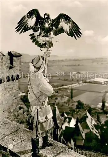 AK / Ansichtskarte Heilbronn_Neckar Dt Jagd Falkenhof Burgfalknerei Hohenbeilstein Falkner mit Steinadler Sari Heilbronn Neckar