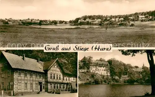 AK / Ansichtskarte Stiege Panorama Fachwerkhaus Seepartie Stiege