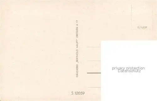 AK / Ansichtskarte Bad_Schandau Blick ueber die Elbe zum Ort Dampfer Bad_Schandau