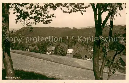 AK / Ansichtskarte Hain_Oybin Panorama Zittauer Gebirge Hain_Oybin