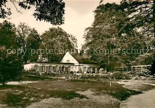 AK / Ansichtskarte Putbus_Ruegen Rosencafe Putbus Ruegen