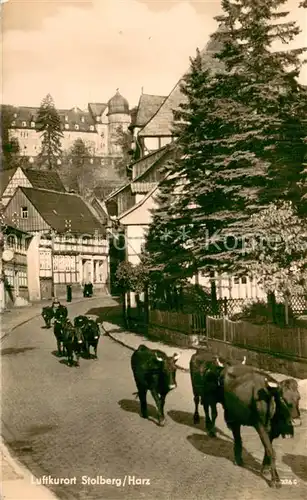 AK / Ansichtskarte Stolberg_Harz Austrieb der Kuehe Stolberg Harz