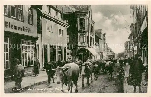 AK / Ansichtskarte Friedrichroda Viehaustrieb Friedrichroda