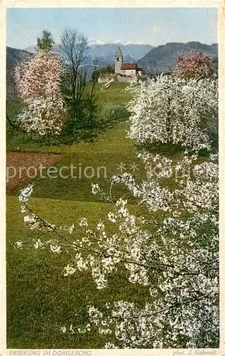 AK / Ansichtskarte Domleschg_GR im Fruehling Baumbluete Domleschg_GR