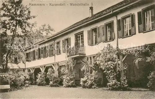 AK / Ansichtskarte Mammern Kuranstalt Wandelhalle Mammern