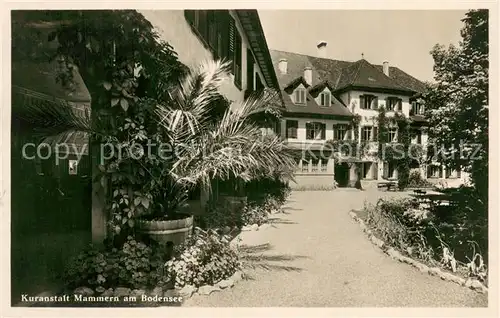 AK / Ansichtskarte Mammern Kuranstalt am Bodensee Mammern