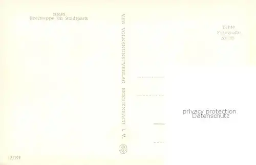 AK / Ansichtskarte Riesa_Sachsen Freitreppe im Stadtpark Riesa Sachsen