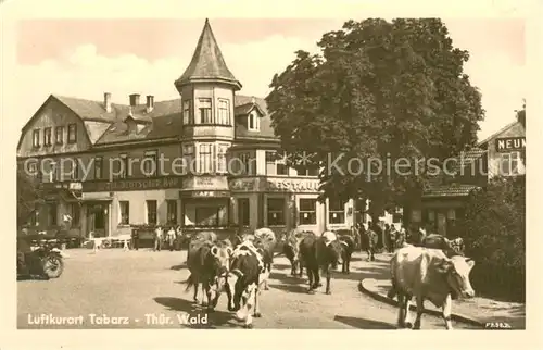AK / Ansichtskarte Tabarz Viehaustrieb Tabarz