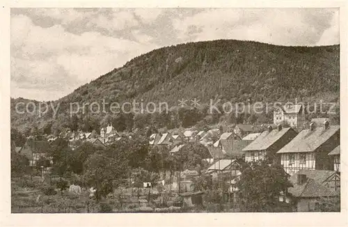 AK / Ansichtskarte Ilsenburg_Harz Teilansicht Ilsenburg Harz