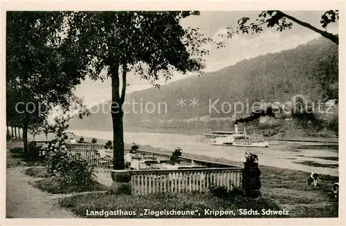 AK / Ansichtskarte Krippen_Bad_Schandau Landgasthaus Ziegelscheune Krippen_Bad_Schandau