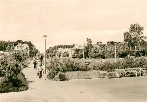 Baabe_Ostseebad_Ruegen Park Baabe_Ostseebad_Ruegen