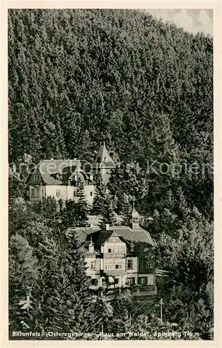 AK / Ansichtskarte Baerenfels_Betzenstein Haus am Walde am Spitzberg Baerenfels_Betzenstein