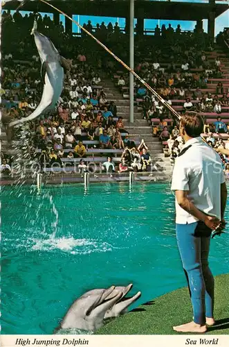 San_Diego_California High Jumping Dolphin Sea World 