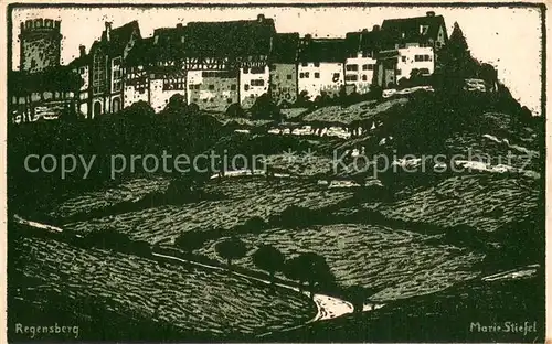 AK / Ansichtskarte Regensburg Kuenstlerkarte Regensburg