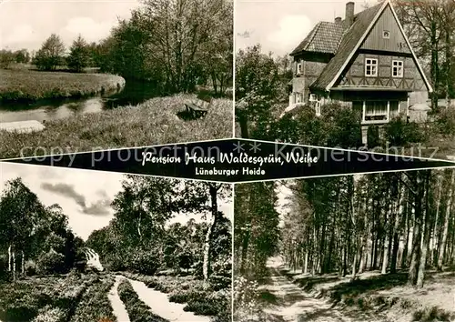 AK / Ansichtskarte Weihe Pension Haus Waldesgruen Lueneburger Heidelandschaften Weihe
