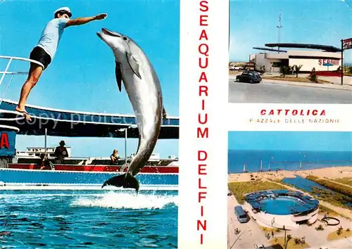 AK / Ansichtskarte Cattolica__Provincia_Rimini Delphin Seeaquarium 