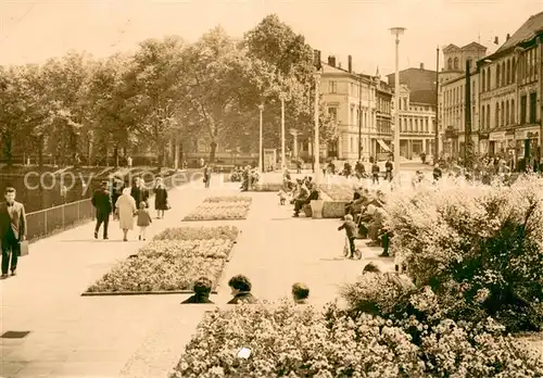 AK / Ansichtskarte Schwerin__Mecklenburg Neue Anlage am Pfaffenteich 