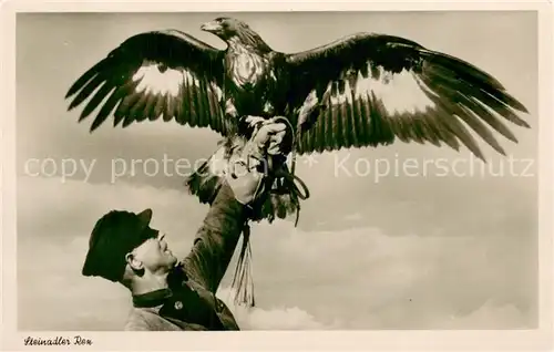 AK / Ansichtskarte Adler Steinadler Rex 