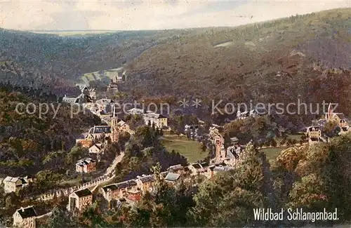 AK / Ansichtskarte Kuenstlerkarte WIRO Nr. 1993 Wildbad Schlangenbad 