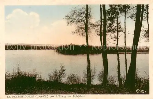 AK / Ansichtskarte Le_Plessis Dorin Etang de Bois Vinet Le_Plessis Dorin