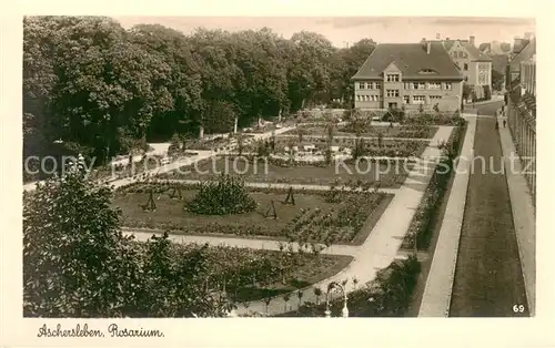 AK / Ansichtskarte Aschersleben Rosarium Aschersleben