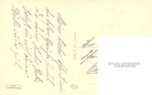 AK / Ansichtskarte Aschersleben Rosarium Aschersleben